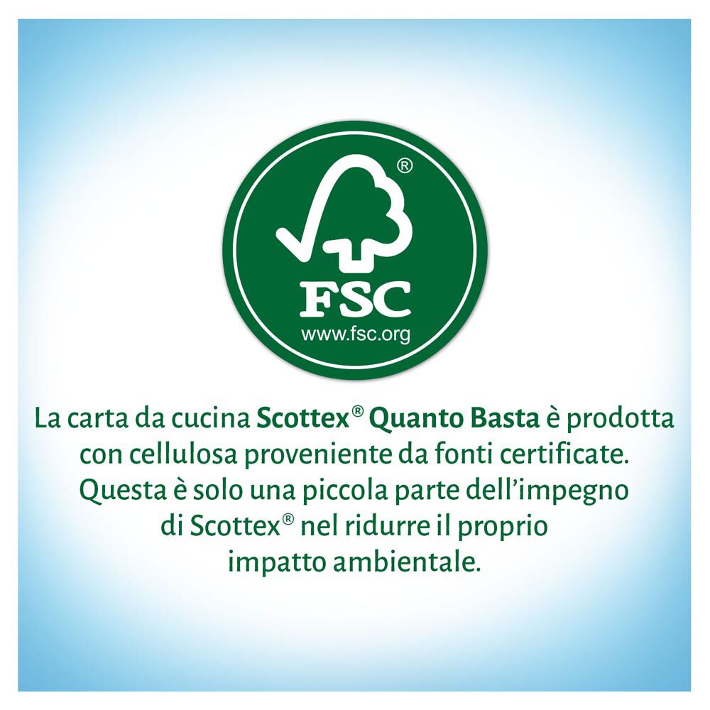 Scottex QuantoBasta Carta da Cucina Confezione da 2 Rotoli, , large